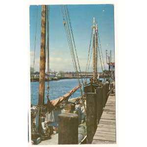  Pensacola Florida Red Snapper Boats Postcard Everything 