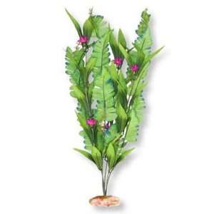  Blue Ribbon Pet Products Sword Leaf Cluster Medium Plant 