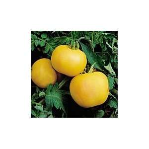  Garden Peach Yellow Slicing Tomato   1/4 oz. Patio, Lawn 