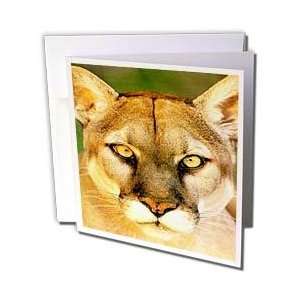  Wild animals   Panther   Greeting Cards 12 Greeting Cards 