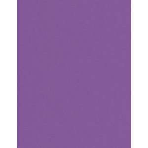 130lb Card Stock   8 1/2 x 11   Bulk   So Silk Fashion Purple (250 