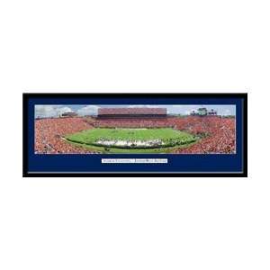  Auburn University Jordan Hare Stadium Panoramic Poster 