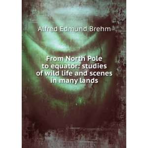   of wild life and scenes in many lands Alfred Edmund Brehm Books
