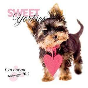  2012 Yorkies By Myrna Calendar