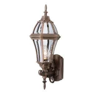  Trans Globe Lighting 4512 BG pendant lantern