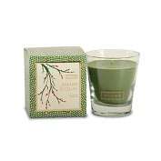 Product Image. Title Balsam & Cedar Demi Glass Candle