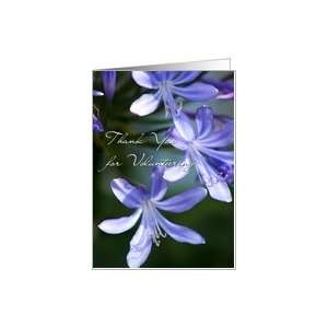  Thank You for Volunteering Agapanthus blossoms Card 