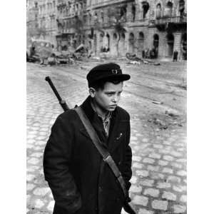 Boy Freedom Fighter Carrying Rifle During Hungarian Revolution Against 