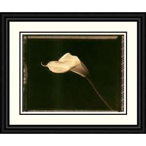  Calla Lily by Talli Rosner Kozuch   Framed Artwork