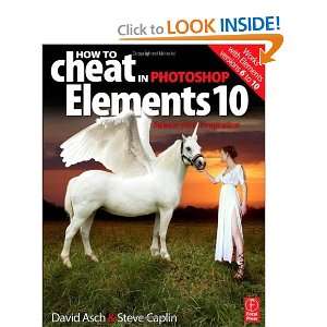   Elements 10 Release Your Imagination [Paperback] David Asch Books
