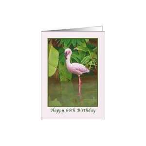  66th Birthday with Pink Flamingo Card Toys & Games