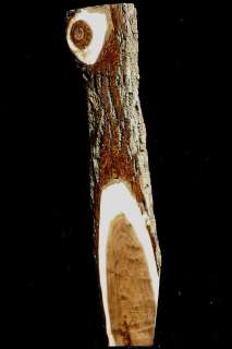 Black Walnut Figured Live Edge Shelf Lumber Slab 1382  