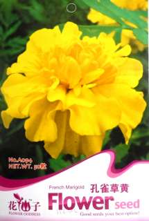 A094 Flower Yellow MARIGOLD TAGETES PATULA SEED Pack  