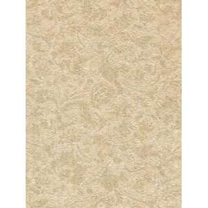  Wallpaper Patton Wallcovering Focal Point 7993158
