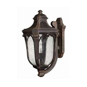   Medium Wall Light PLUS eligible for 