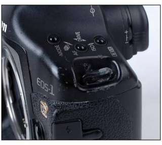 Sale* Canon EOS 1Ds Mark II 16.7 MP Digital SLR Camera １ Ds MK 2 