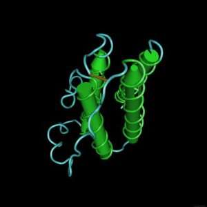  Leptin Molecule Worm Ver. Human Obesity Protein Stretched 