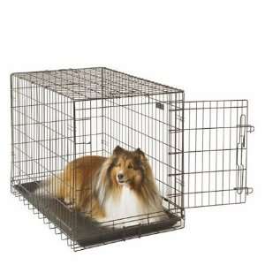 Economy Crate Black Folding Wire Dog Crate Size Medium (35 D x 24 W 