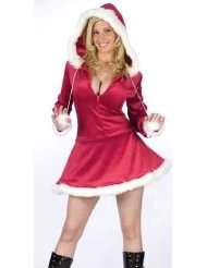 Fun World Womens Mrs.Claus Santas Helper Costume