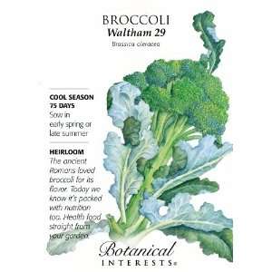 Broccoli Waltham 29 Seed Patio, Lawn & Garden