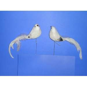   White Birds with Black Marking on Wings (2 Pieces) 