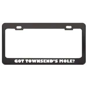 Got TownsendS Mole? Animals Pets Black Metal License Plate Frame 