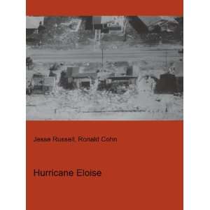  Hurricane Eloise Ronald Cohn Jesse Russell Books