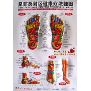 Chart of the Foot Reflection Zones Health Therapy(with English and 