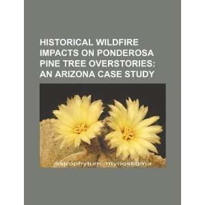  wildfire impacts on ponderosa pine tree overstories an Arizona 
