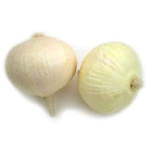  Artificial White Onion, Box of 12 