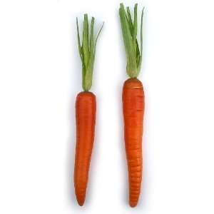  Artificial Carrot 1 dozen per bag