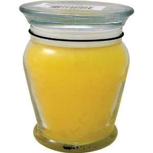  Candle Warmers 12 Ounce Vanilla Cream Candle in Jar