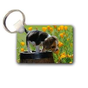 Cute puppy beagle Keychain Key Chain Great Unique Gift Idea