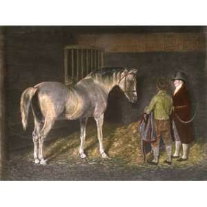  Wellesley Arabian Etching Agasse, Jacques Laurent Watson, Horse 