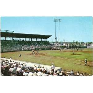   Field Spring Training Camp of Major League Baseball Clearwater Florida