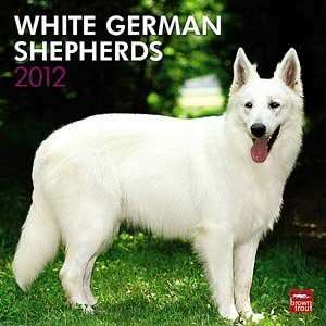  2012 White German Shepherds Calendar
