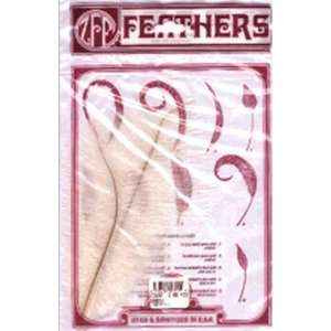  Ostrich Feathers 2/Pkg White