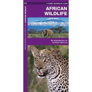  African Wildlife An Introduction to Familiar Species 