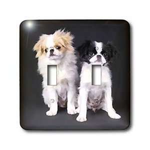 com Dogs Japanese Chin   Japanese Chin   Light Switch Covers   double 