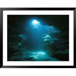  A Beam of Sunlight Illuminates an Underwater Cave Photography 