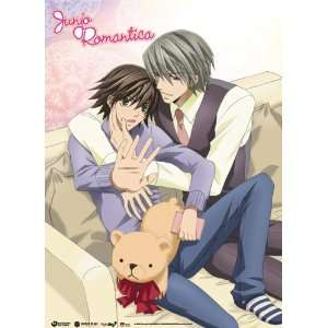   Romantica Misaki and Akihiko Shy Caress Wall Scroll Toys & Games