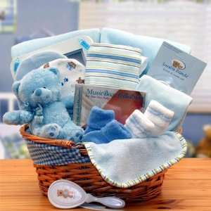  Simply The Baby Basics New Baby Gift Basket  Blue 