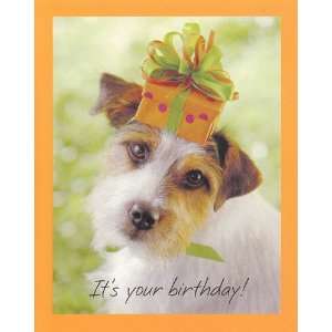   Card Birthday Its Your Birthday Your Turn to Wear the Party Hat