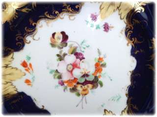 ANTIQUE 19TH CENTURY SPODE CABINET PLATE  