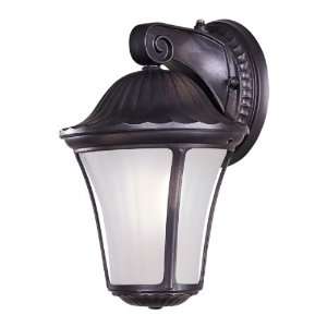  Amarante Heritage ENERGY STAR® 10 1/2 Outdoor Light 