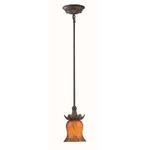 Lite Source C71173 Fergus Pendant Lamp, Aged Bronze with Amber Colored 