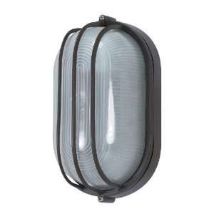   Bronze Traditional / Classic Single Light Oval Ambient Lighting