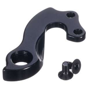  2011 Litespeed M1 Derailleur Hanger