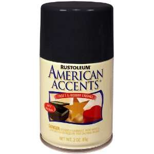 Rust Oleum 209683 American Accents Craft and Hobby Spray Paint, Gloss 