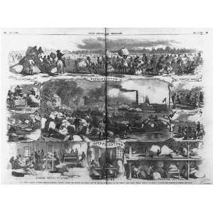  Cotton Campaign,SC,Sea Island Royal,Federal Army,1862 